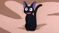 Black Cats Fan Club (Jiji)